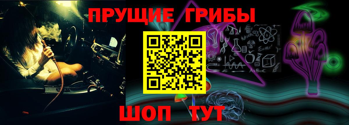 Псилоцибиновые грибы GOLDEN TEACHER Заволжье