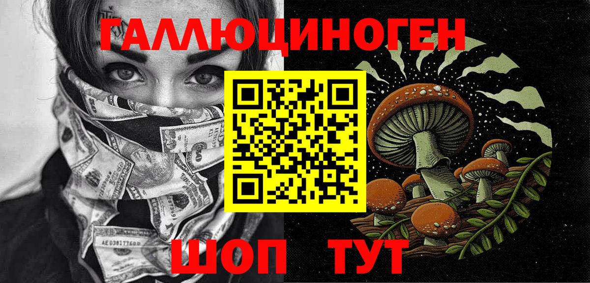 Заволжье  Псилоцибиновые грибы GOLDEN TEACHER  Вход с VPN 